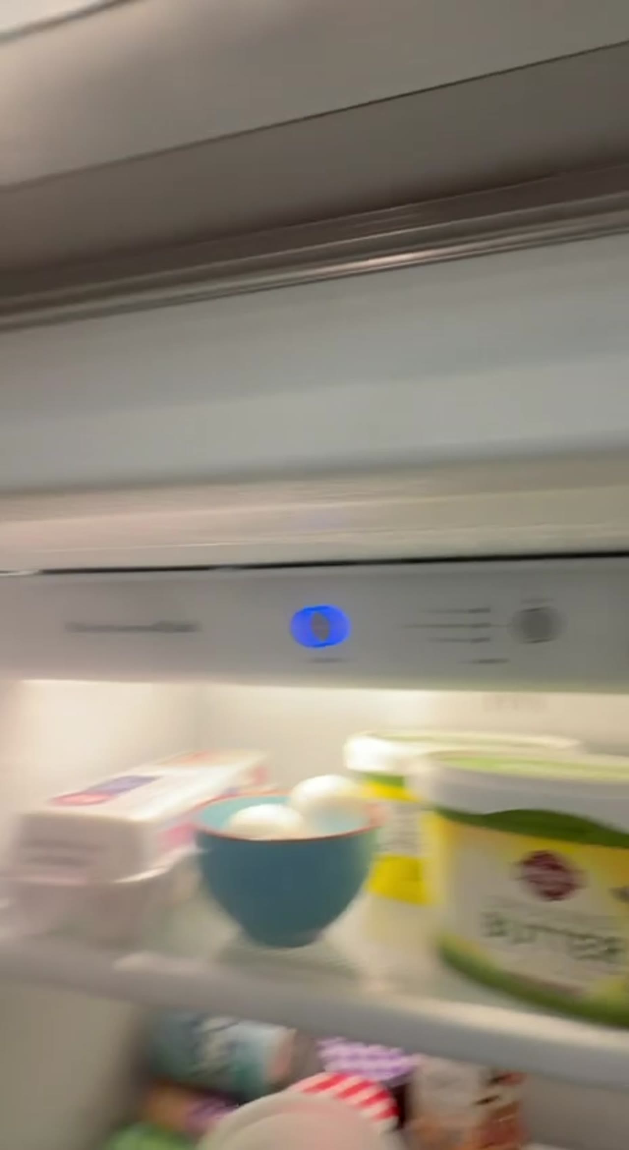 KitchenAid built-in refrigerator door gasket repair in Windermere, Florida